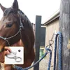 Set di utensili manuali professionali 2 pezzi Anello per cravatta a cavallo-304 Anello in acciaio inossidabile Cravatte incrociate per attrezzature per l'addestramento di sicurezza dei cavalli W