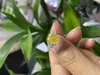 Pierścienie klastra 3.0CT Radiant Cut lśniąca Diamentowa złota biżuteria elegancka srebrna srebrna s925