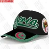 Ball Caps Algeria Berretto da baseball Nome personalizzato gratuito Numero Dza Hat Islam Logo Arabo Algerie Arab Text Alger Travel Flag Algier Po Headgear