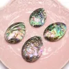 Pendant Necklaces Necklace Natural Abalone Egg-Shaped Charms For Jewelry Making DIY Bracelet Accessory