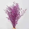 Gedroogde Bloemen 120G/Bundel 30 ~ 45 Cm Minnaar Gras Natuurlijke Verse Bewaarde Dansen Real Forever Bloem Tak voor Home Decor