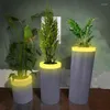 Les vases ont illuminé le vase extérieur de fleur de jardin avec le matériel imperméable