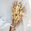 Fiori secchi Mazzo di erba di coniglio naturale Bouquet di piante di fiori veri per puntelli fotografici Flores Decorazioni per matrimoni fai da te per la casa