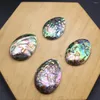 Pendant Necklaces Necklace Natural Abalone Egg-Shaped Charms For Jewelry Making DIY Bracelet Accessory