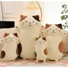 Plush Pillows Cushions Arrive 45cm Cute Soft Long Cat Boyfriend Toys Stuffed Pause Office Nap Sleep Pillow Cushion Gift Doll for Kids Girls 230628