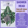 Сухие цветы 52PCS Mix Eucalyptus Lavender Связки для душа Натуральные настоящие подвесные серебряные долларовые листья Home Decor 230628