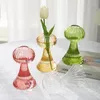 Vase Ins Nordic Glass Vase Living Room装飾創造的な透明な花の装飾ギフトレトロな水耕植物
