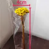 Flores secas 45-50 peças/0.5-1cm cabeça super mini flores estrela margarida buquê real para fotos de casa aromaterapia decoração de flores flutuantes