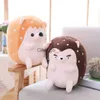 Stuffed Plush Animals Korea Drama Touch Your Heart Stuffed Hedgehog Plush Toy Stuffed lovely Couple Hedgehog Doll PLush Birthday Gift Christmas Pillow J230628