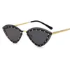 New metal cat's eye frame small frame cut edge Women's fashion street shooting glasses