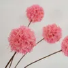 Flores secas 9 cm cabeza/2 piezas ramas de bolas de flores de estrella secas artificiales flores de injerto hechas a mano fiesta de boda sala de estar decoraciones para el hogar
