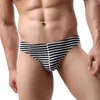 Majaki mężczyźni bielizna cueca męka Stripe seksowne krótkie krótkie bawełniane oddychające wygodne bikini