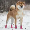 Buty 4PC/zestaw wodoodporne zimowe buty dla psa pensa grube ciepłe antylowe deszcz buty śnieg