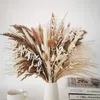 Flores secas 65 peças buquê de decoração de grama pompass ramos/pomposo para arranjos de flores casamento casa