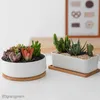 Planters Pots Simple Succulents White Porcelain Flower Pots Round Rectangular Refreshing Ceramic Pots Balcony Green Planting Home Garden Pot