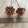 Dekorativa blommor kransar 4-6 cm huvud / 2 st torkad naturlig fjäder krysantemum torr rosor gren diy för heminredning bröllop bukett