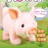 ElectricRC Tiere Roboter Schwein Spielzeug Elektronisches Plüsch Rosa Schwein Walk Wedeln Schwanz Niedliches Elektrisches Tier Haustier Grunzen Bogen Nase Spielzeug Für Kinder Geburtstagsgeschenke 230627