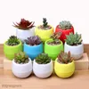 Planters Pots Home Mini Flower Pots Colourful Round Plastic Plant Flower Pot Succulents Pot Garden Home Office Decor Plastic Pots