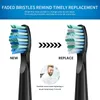 Brosse à dents électrique têtes sonique remplaçable Seago brosse à dents tête à poils souples SG5075085515485759499582303 230627