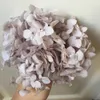 Gedroogde Bloemen 10 g/partij Hoge kwaliteit Geconserveerde Anna Hortensia bloem Natuur Bloemhoofd voor DIY geschenkdoos Echte Eeuwige Bruiloft decoratie