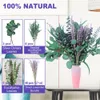 Flores secas 52 pçs mistura eucalipto lavanda pacotes para chuveiro natural real pendurado prata dólar folhas decoração de casa 230628