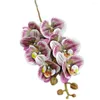 装飾的な花1つの本物のタッチ蝶rochid花の枝である人工プメロエノプシス8ヘッドウェディングセンターピースフローラル