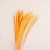 Dried Flowers 40pcs/lot Natural Artificial Home Wedding Living Room Decoration Accessories Long Bouquet DIY Craft