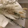 Torkade blommor 60st gräs evigt torrt eukalyptus grenar naturliga blommebukett pampa dekor för hembordsdekoration