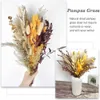 Flores secas 100 unidades de grama natural Bonquet decorações de outono para arranjos de flores decoração de casa de casamento