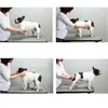 Dog Grooming Pet Products For Cat Massage Brush Combs Cleaner Puppy Hair Removal Slicker Brushes Wash Tools Soft Gentle Silicone Bristles 230628