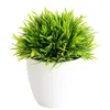 Nieuwe Phoenix Tail Gras Bonsai Simulatie Plant Decoraties Bloem Bal en Gras Bal Potplant Woondecoratie Accessoires