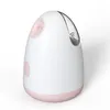 Распылитель Steamer Nano Hydration Instrument Маленький портативный увлажнитель Домашняя красота 230628