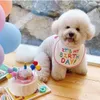 Abbigliamento per cani Cappello per cani Compleanno Decorazioni per cani Cappelli per gatti Cappello da festa per piccoli animali Costume da compagnia carino Giocattoli da masticare per cani 230628