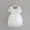 Vestidos de niña, venta al por menor, vestido de princesa de verano para niñas, 2023, encaje de pestañas finas, hilo de empalme, pastel de flores, fiesta para niños, cuello en V trasero