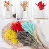 Dried Flowers 60Pcs Cake Decor Rabbit Grass Natural with Box Bunny Tails Bouquet Lagurus Home Decoration Party Supplies