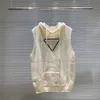 女性のトラックスーツデザイナーデザイナー女性ファッションカジュアルニットフード付き2ピースセットクラシックレター刺繍トラックスーツ女性スウェットスーツ23SS 55D2