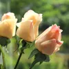 Neue künstliche Blumentextur, feuchtigkeitsspendende Rose, künstliche Blumen, künstliche Pflanzen, Hochzeitsdekoration, Topfpflanze, Blumenarrangement