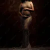 Maternity Dresses Maternity Pography Gown Baby Shower Dress Sexy Shiny Goddess Bodysuit Pregnant Woman Po Shoot Props 230628