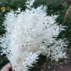 Faux Floral Greenery 30/50g Dried Natural Ruscus Leaf Wedding Arrangement Decoration Natural Flowers Bouquet Home Living Room Centerpieces for Tables x0629