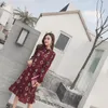 Casual Dresses Print Vintage Chiffon Long Dress Women Sleeve Bow-tie Neck A-line Boho Beach Mujer Vestidos Temperamentc