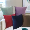 Poduszka/dekoracyjna stała kolorowa poduszka do salonu sofa sofa poduszka dekoracja okładki 35*50/40*40/45*45