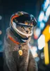 Cat Costumes Pet Motorcycle Helmet Full Face Outdoor Bike Riding Hat for Puppy Supplies 230628