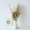 Сушеные цветы, трава, пальмовые листья, натуральный цвет, веерный лист, сохраненный цветок Palmier для украшения дома, настоящий вечный декор
