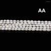 Beads Rice Shape White Pearl Natural Freshwater A For Necklace Bracelet Accessories Jewelry Making DIY Size 4-5mm