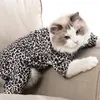 Cat Costumes Recovery Suit Högelastiskt andningsbart tyg Lätt att sätta på hoodies Katter förhindrar att slicka repor