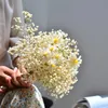 Bouquet de fleurs séchées, Arrangement de mariage, naturel, frais et sec, souffle de bébé, décoration de noël pour la maison et le salon