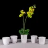 Nieuwe Melamine Porselein Bloempot Verdikte Duurzame en Eenvoudige Huishoudelijke Woonkamer Tafelblad Plastic Groene Planten Succulent Cup