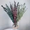 Suszone kwiaty 80 g/dekoracyjne zachowane eukaliptus tenuifolia Bouquet liście wieczne camaldulensis garland do domu