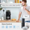 プラグTUYA WiFiスマートソケットスマートプラグEU UK SWIT AU BR FR JP ISRAEL ITA POWERプラグ16AアプリコントロールALEXA Google Home Energyモニター