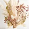 Dried Flowers Grass Dry Palm Leaves Flower Bouquet Decoration Natural Pampa Gifting Wedding Accessories Home Decor